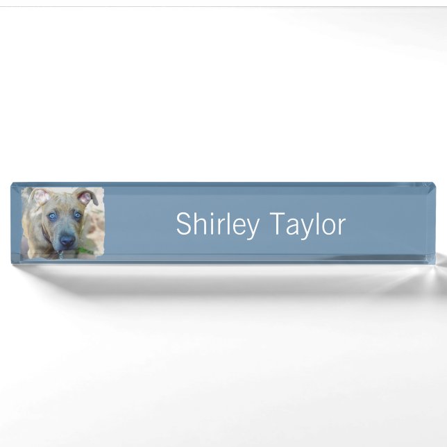 Brindle Pit Bull Puppy by Shirley Taylor Nameplate (Front)