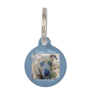 Brindle Pit Bull Puppy by Shirley Taylor Pet Tag
