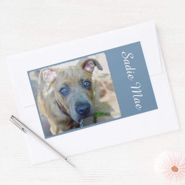 Brindle Pit Bull Puppy by Shirley Taylor Rectangular Sticker (Envelope)