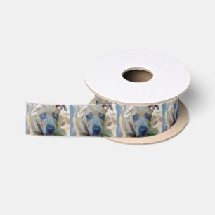 Brindle Pit Bull Puppy by Shirley Taylor Satin Ribbon