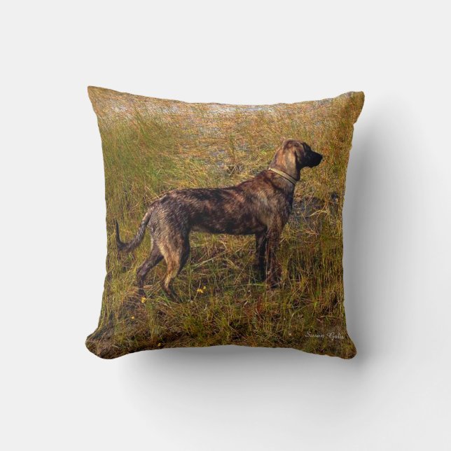 Brindle Plott Hound in Marsh Throw Pillow (Front)