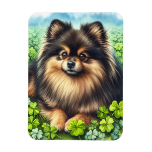 Brindle Pomeranian Watercolor Clover Shamrock Magnet