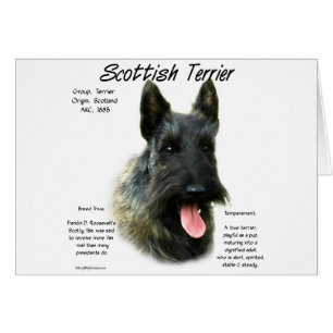 Brindle Scottish Terrier History 