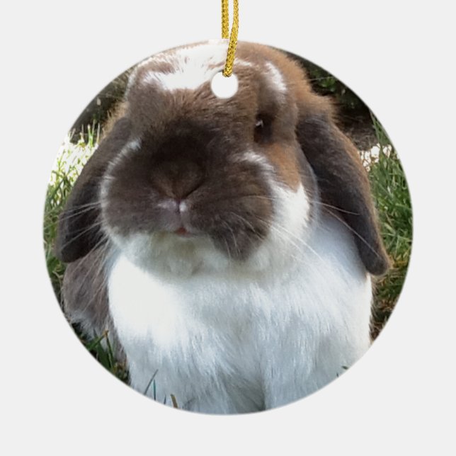 Bring some furriness into your life! ceramic tree decoration (Front)