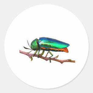 "Bring the freshness of the tropical mountains to  Classic Round Sticker