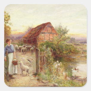 Bringing Home the Sheep Square Sticker