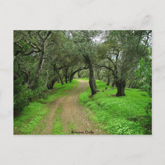 Briones Oaks Postcard