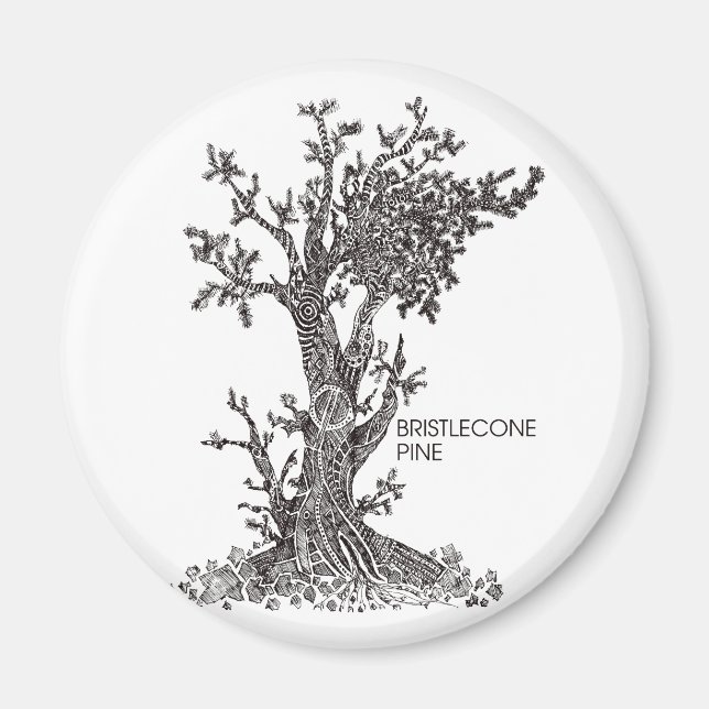 Bristlecone Pine Magnet (Front)