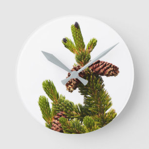 Bristlecone Pine Round Clock
