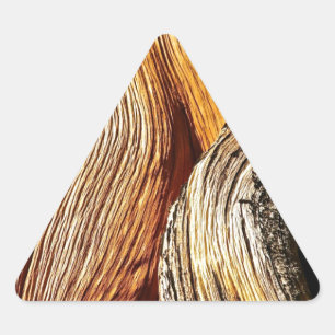 BRISTLECONE PINE TREE BARK DETAIL TRIANGLE STICKER