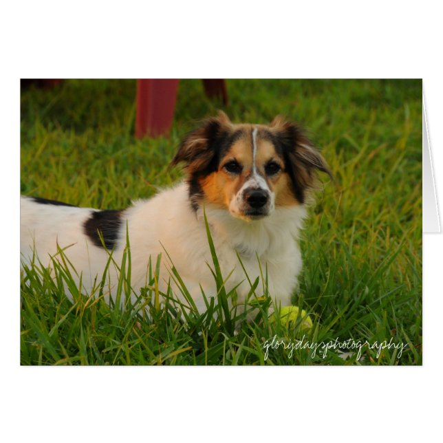 Bristol (Front Horizontal)