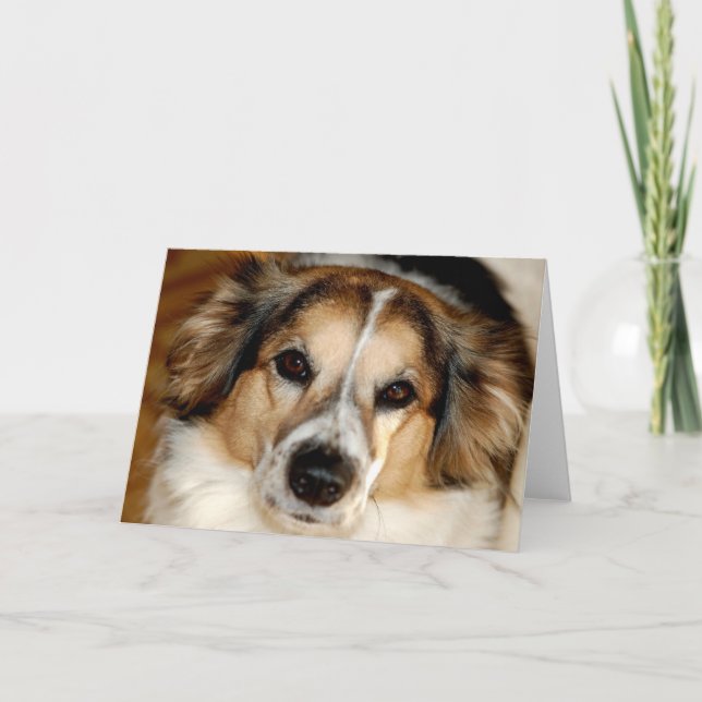 Bristol Card (Front)