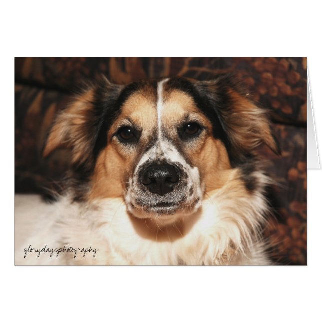 bristol, glorydaysphotography (Front Horizontal)