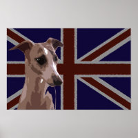 Britannia series: Buddy the Whippet