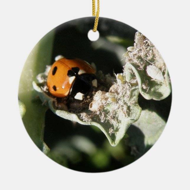 British 7 Spot Ladybug Custom Birthday Ceramic Tree Decoration (Front)