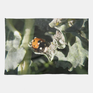 British 7 Spot Ladybug Kitchen Towel