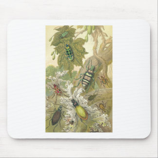 British Beetles Mouse Pad