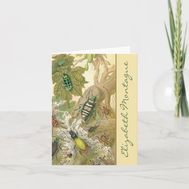 British Beetles Personalised Note Cards (Front)