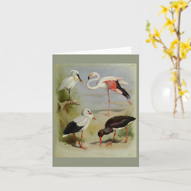 British Birds, Art Illustrations Card (Yellow Flower)