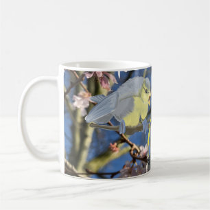 British Blue Chickadee Family against Pink Blossom Coffee Mug