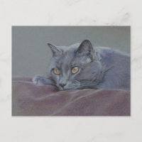 british blue shorthair cat painting