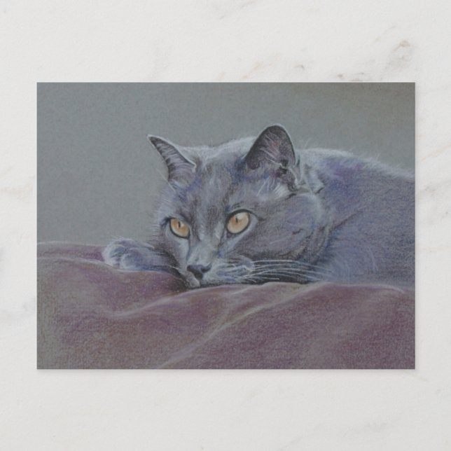 british blue shorthair cat painting postcard (Front)