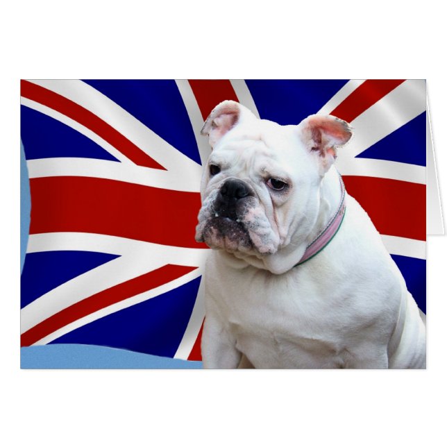 British Bulldog (Front Horizontal)