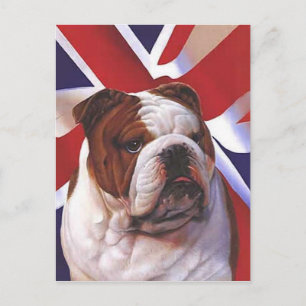 BRITISH BULLDOG POSTCARD