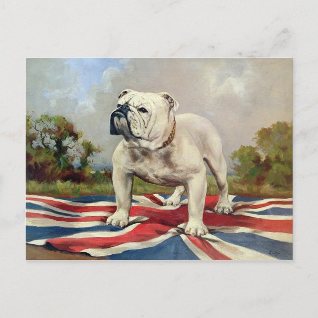 British Bulldog Postcard (Front)