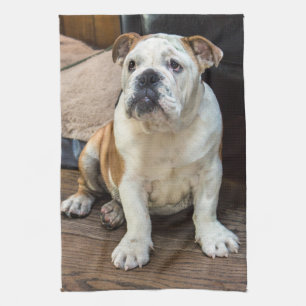 British Bulldog puppy Tea Towel