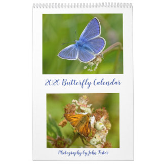 British Butterflies 2020 Calendar