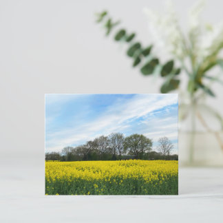 British contryside postcard