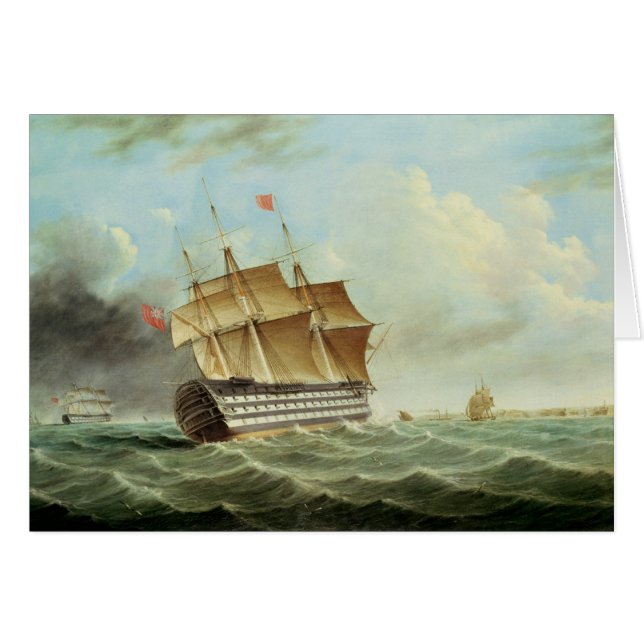 British Man-o'-War (Front Horizontal)