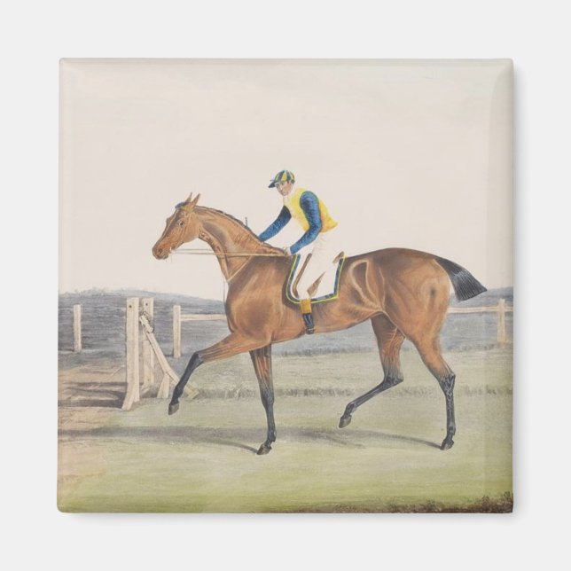 British Racehorse (The Duchess) Magnet (Front)