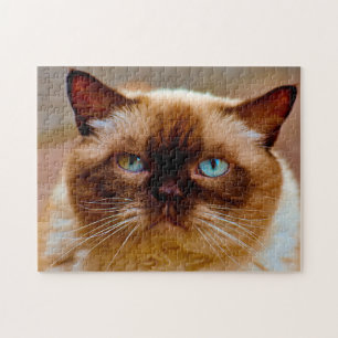 British Short Hair Cat. Jigsaw Puzzle