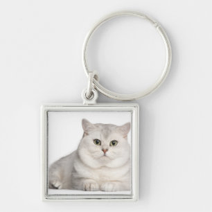 British Shorthair (2 years old) lying in front Key Ring