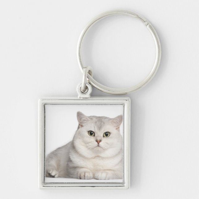 British Shorthair (2 years old) lying in front Key Ring (Front)
