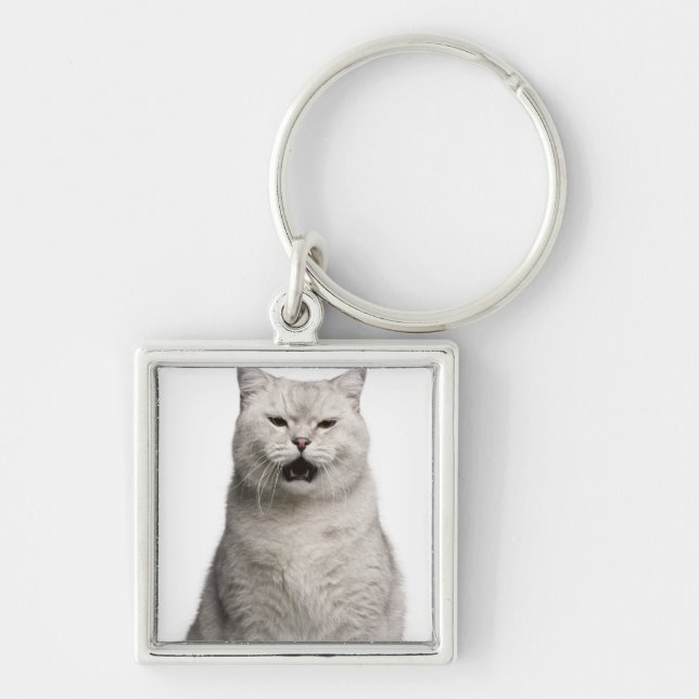 British Shorthair (4 years old) Key Ring (Front)
