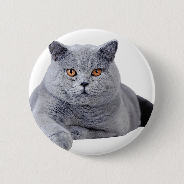 British shorthair cat 6 cm round badge (Front)