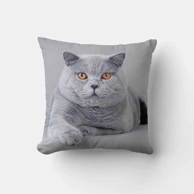 British shorthair cat cushion (Front)