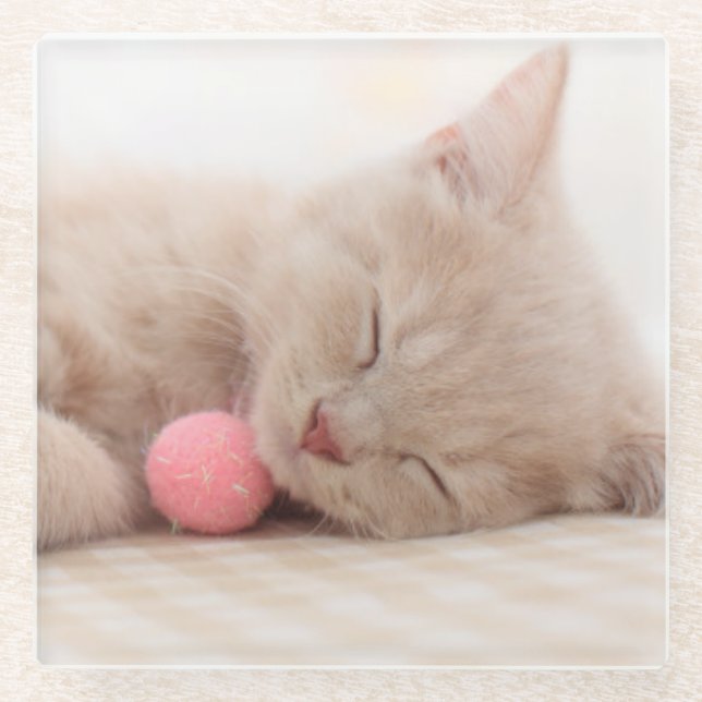 British Shorthair Cat Glass Coaster (Front)
