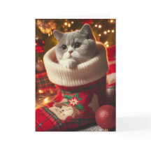 British Shorthair Cat in a Stocking Christmas Card
