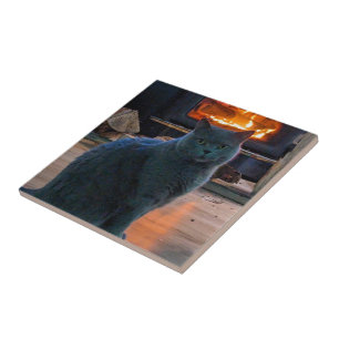 British Shorthair Cat Kitty Fireplace Tile