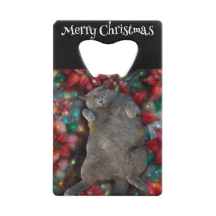 British Shorthair Cat Kitty in Poinsettias Lights