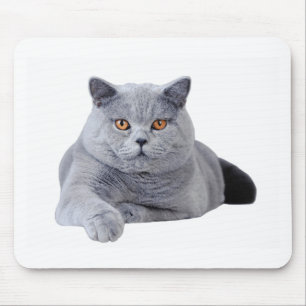 British shorthair cat mouse pad