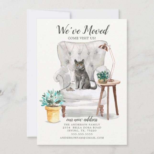 British Shorthair Cat Moving Announcement (Front)