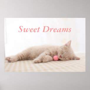 British Shorthair Cat Poster