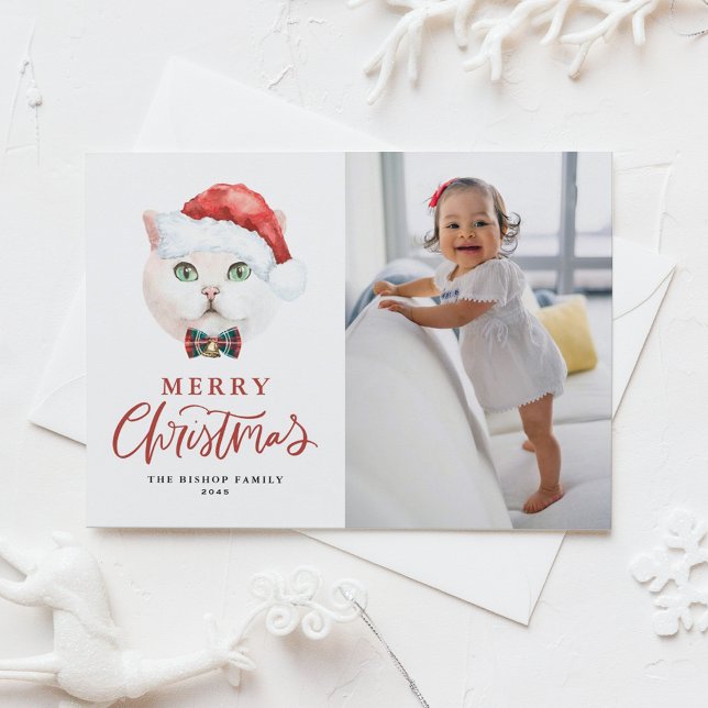 British Shorthair Cat Santa Red Photo Christmas Holiday Postcard (Creator Uploaded)