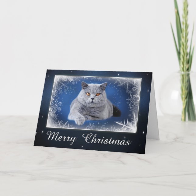 British shorthair Christmas card (Front)