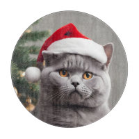 British Shorthair Christmas